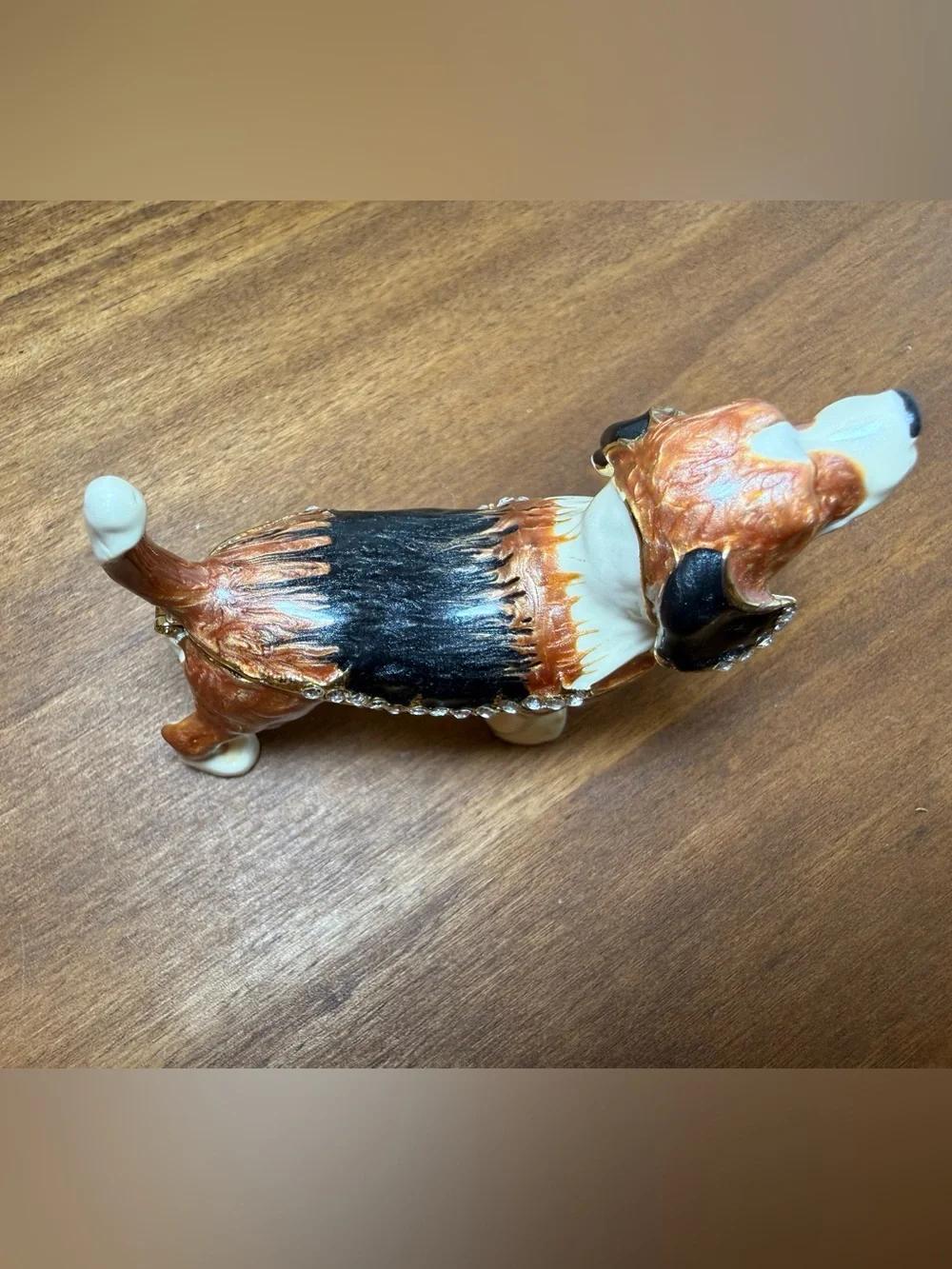 Hound dog Beagle Jewelry Trinket Box in Brown, Black & Cream